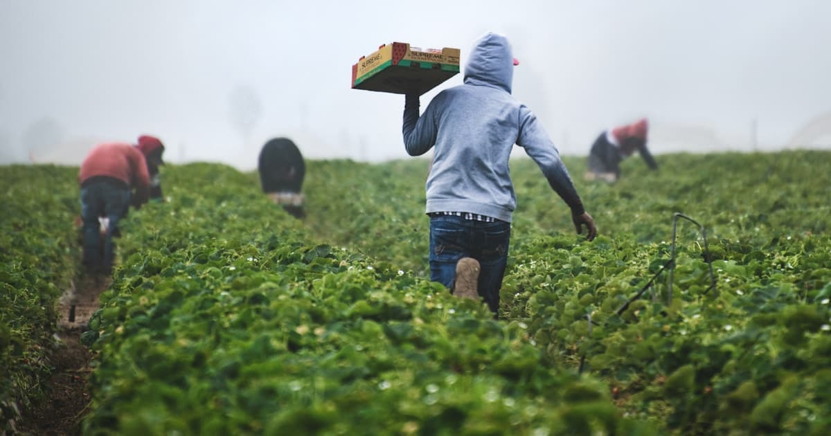 【令和8年度】2級造園施工管理技士の難易度と合格率を徹底分析