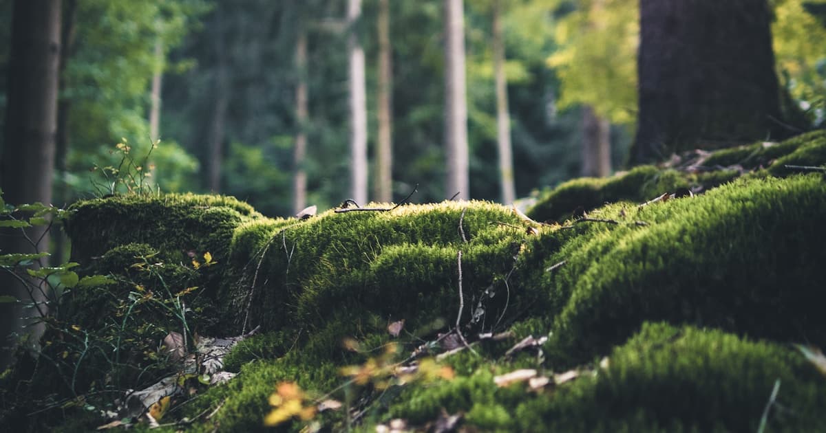 2級建築施工管理技士 第一次検定の出題傾向と効率的な対策【令和8年度対応】